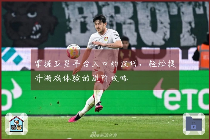 掌握亚星平台入口的技巧，轻松提升游戏体验的进阶攻略