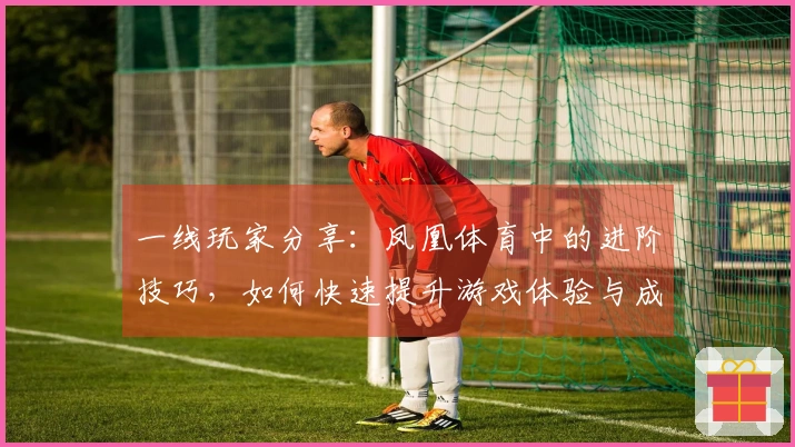 一线玩家分享：凤凰体育中的进阶技巧，如何快速提升游戏体验与成绩